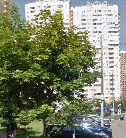 Одинцово Чистяковой улица дом 14