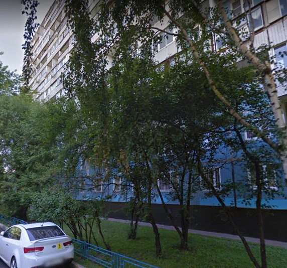 дом на Алма-Атинской улице дом 10 корпус 1 в Москве