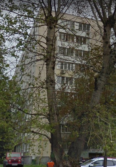 Москва Стройковская улица дом 8