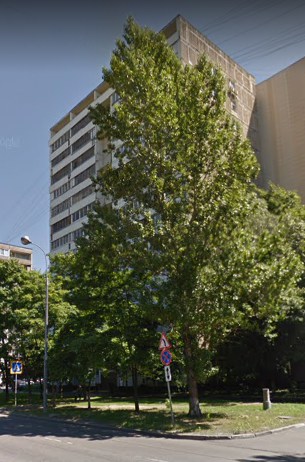 Москва Ташкентская улица дом 17 корпус 1