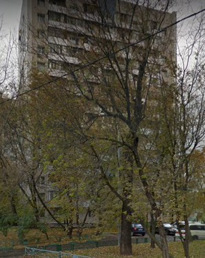 Москва Измайловское шоссе дом 25