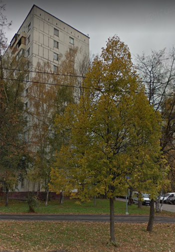 фото дома Путевой проезд дом 24