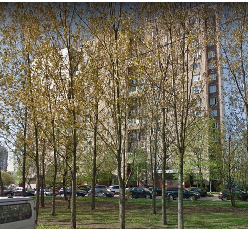 Москва улица Шолохова дом 13