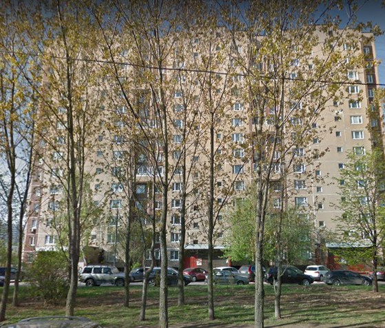 дом на улице Шолохова дом 13 в Москве