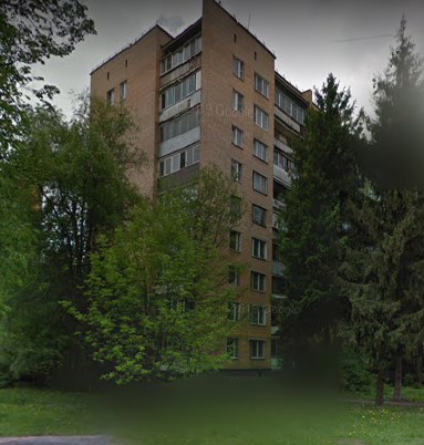 дом на Центральной улице дом 14 в Троицке